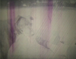 Meet Bev Zalcock at the Queer Film Festival Hamburg