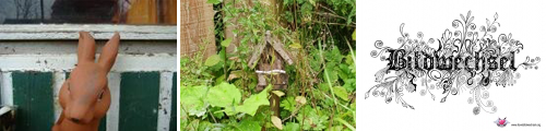 the garden film programme